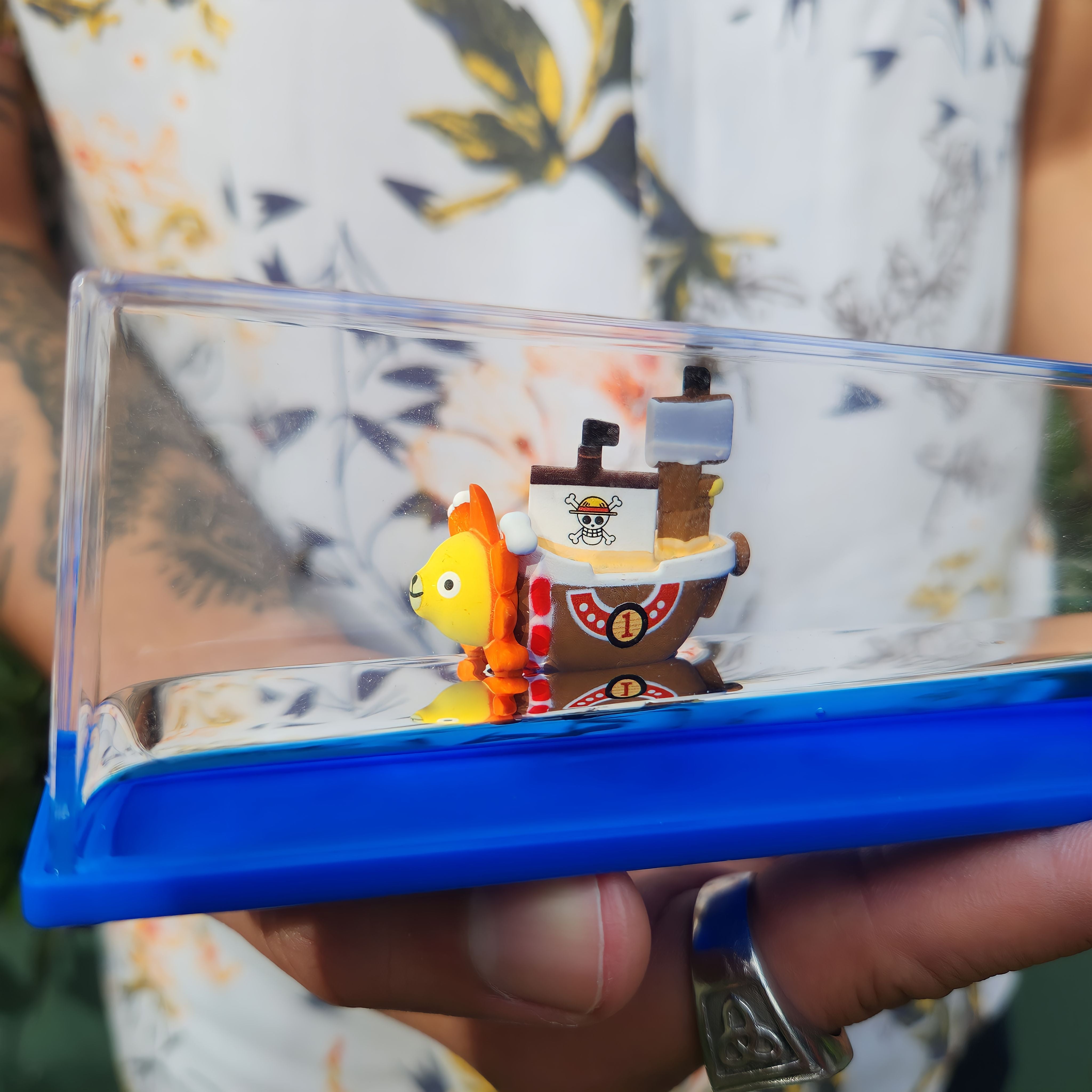 Barco de One Piece