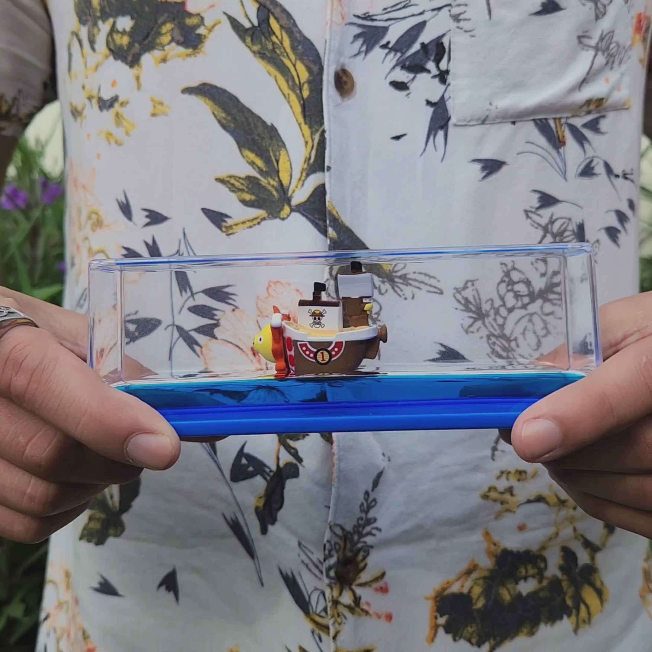 Barco de One Piece